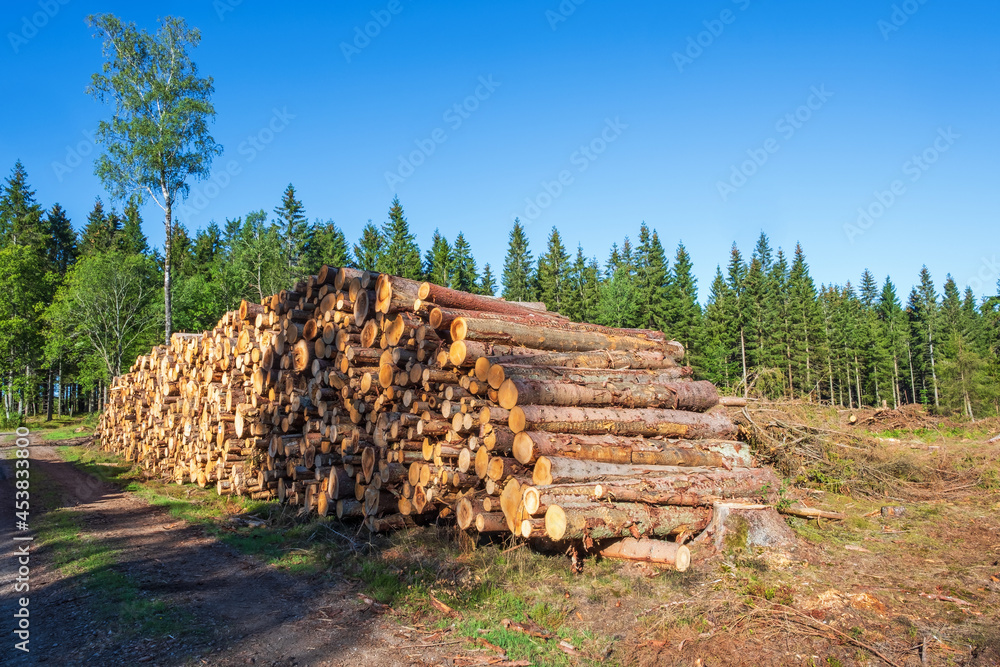 Timber log stack by a dirt road in a clear cutting area