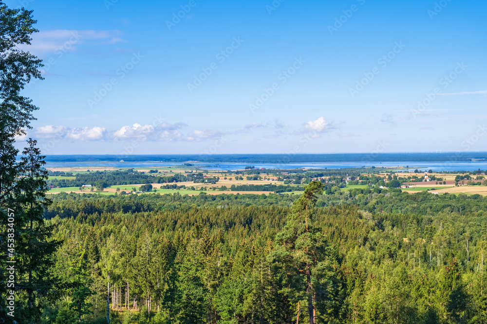 Awesome landscape view at a forest and the horizon