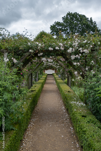 Fototapeta Naklejka Na Ścianę i Meble -  English garden