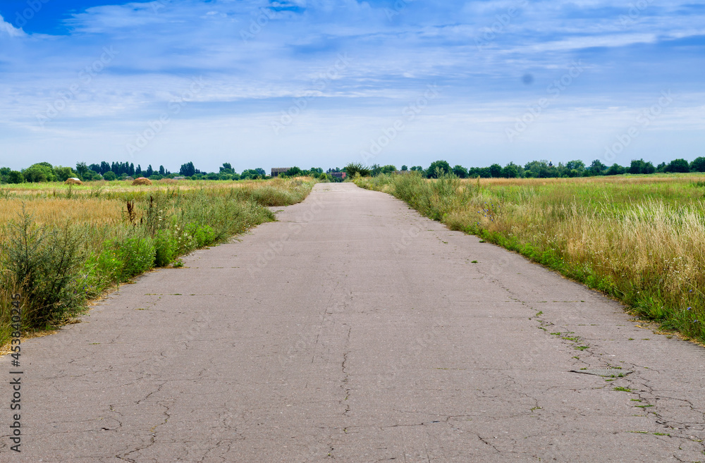Obraz premium road in the countryside with blue sky on the horizon