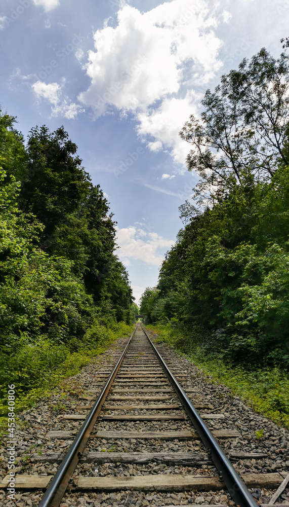 Fototapeta premium ligne de chemin de fer, de Colmar-Central à Neuf-Brisach, Alsace, France