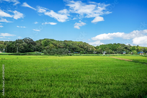 田園風景 © inoumasa