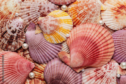 Beautiful sea shells and pearls as background, top view