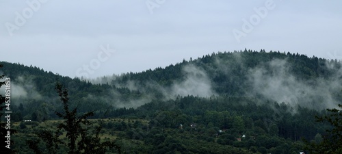  Beautiful misty trees in mountains, foggy and cloudy forest in mountains, landscape in Beskid, Poland. © Anna