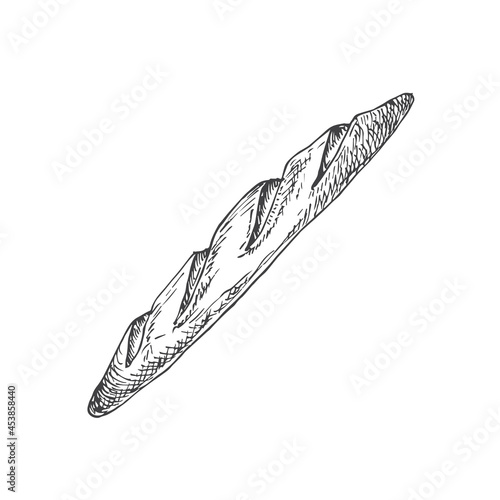 Vector French Bakery Sketch. Hand Drawn Illustration of a Loaf of White Wheat Baguette Bread. Isolated