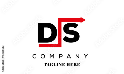 DS financial advice logo vector