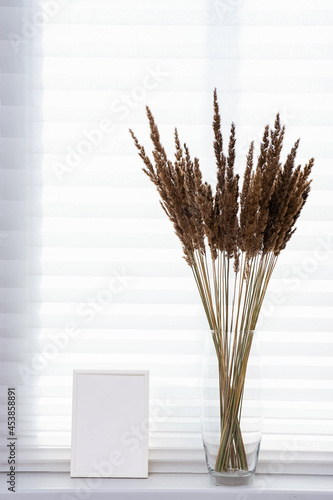 Pampas grass in glass vase and white blank photo frame on a windowsill. Minimal still life in white color.