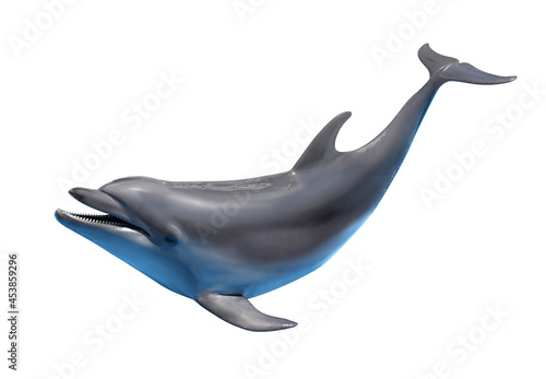 Vászonkép Beautiful grey bottlenose dolphin on white background