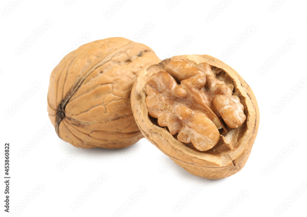 Fresh ripe walnuts in shell on white background Fresh ripe walnuts in shell on white background
