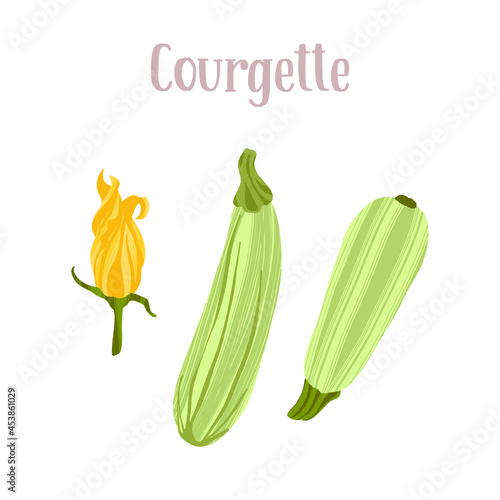 Fresh young courgette with flowers. Healthy nutrition product.