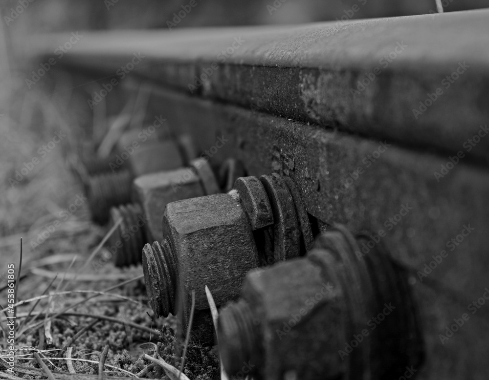 MACRO TORNILLO VIA DE TREN BLANCO Y NEGRO MACRO TORNILLO VIA DE TREN BLANCO Y NEGRO