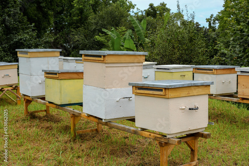 bees in the beehive, beehives in the garden © annakolesnicova