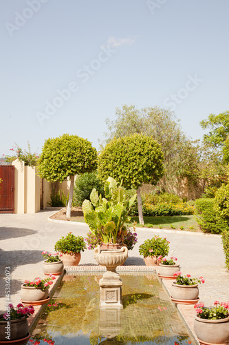 Potted plants in formal garden outside villa