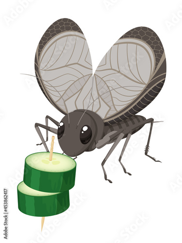 きゅうりを食べる鈴虫のイラスト