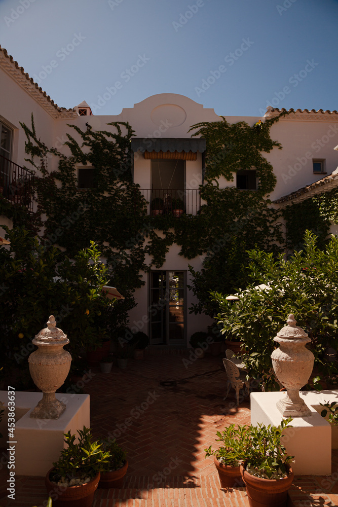 Naklejka premium Ivy growing on wall around balcony