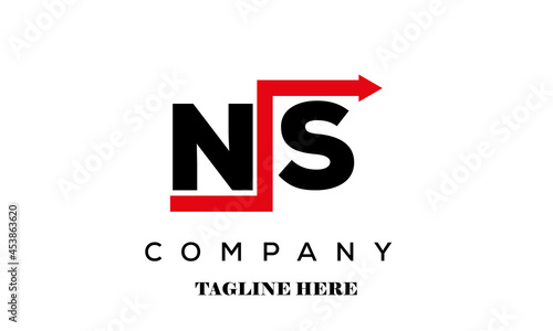 NS financial advice logo vector