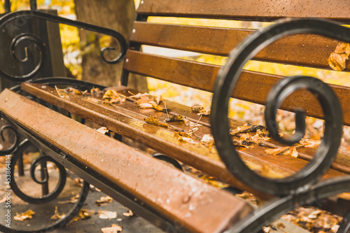 beautiful bench in the autumn park