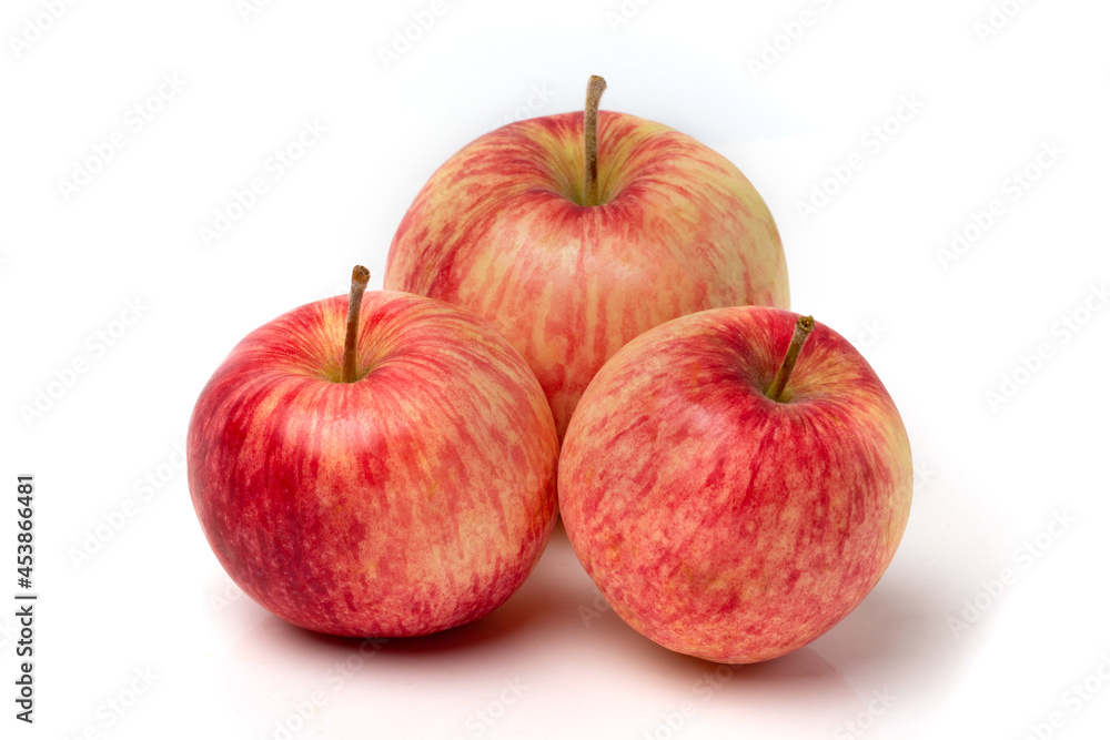Three colorful pink apples on a white background. Three colorful pink apples on a white background.
