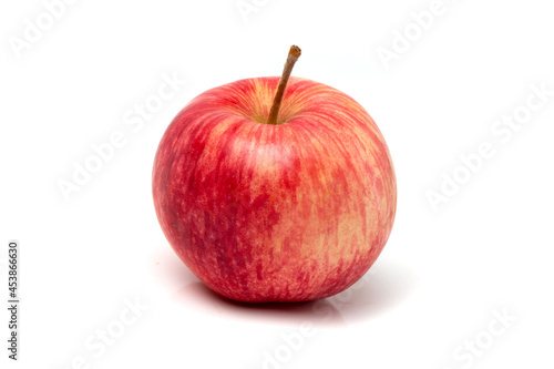 One colorful pink apple on a white background.