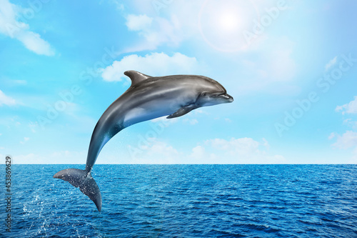 Fotografia Beautiful bottlenose dolphin jumping out of sea with clear blue water on sunny d