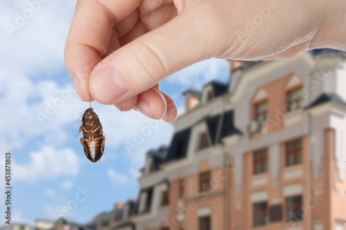 Woman holding dead cockroach and blurred view of buildings on background. Pest control