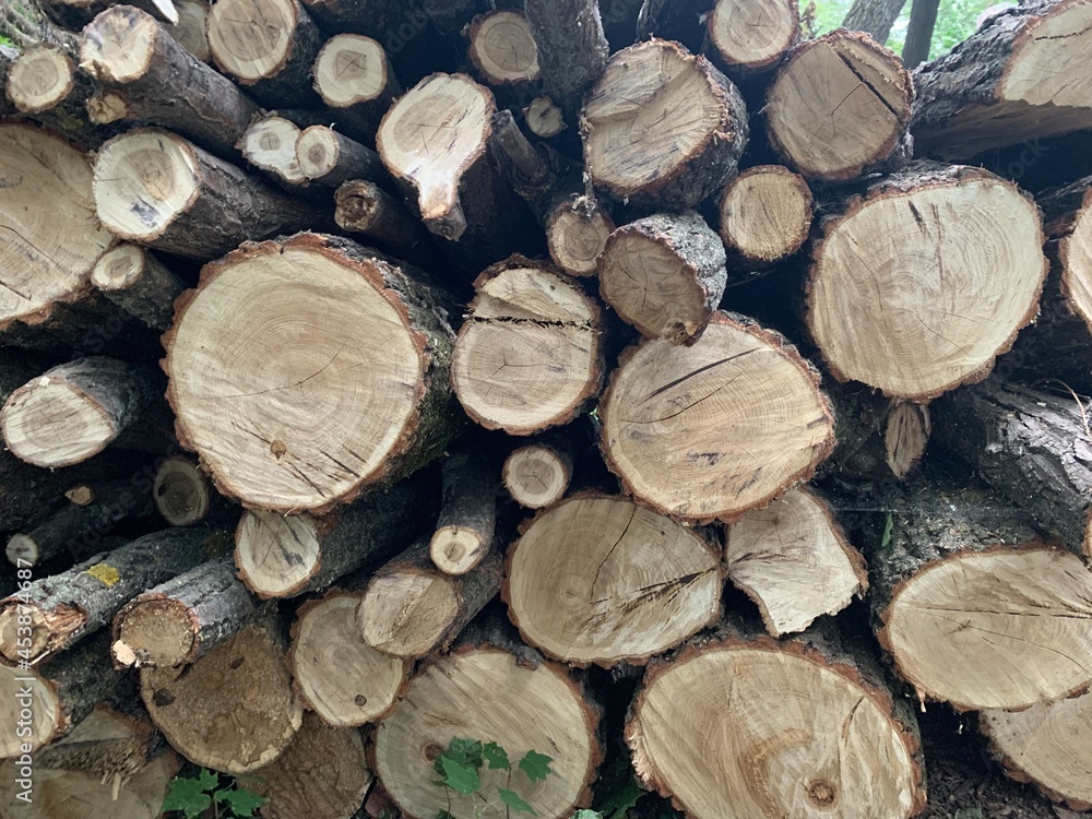 Wooden logs in pile. Firewood stacked. Sawed tree trunk. Cut tree slice cross section texture. Wood forest pattern background.
Wooden logs in pile. Firewood stacked. Sawed tree trunk. Cut tree slice cross section texture. Wood forest pattern background.