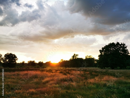 sunset over the field