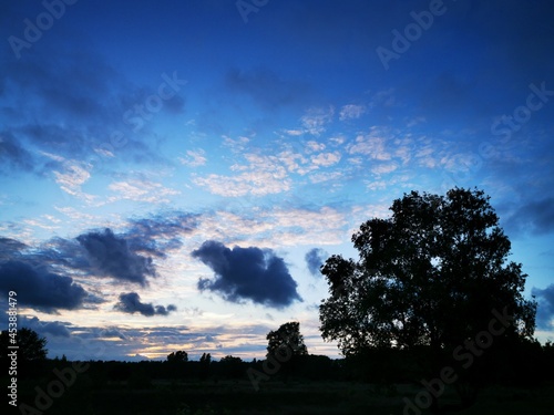 sunset over the forest