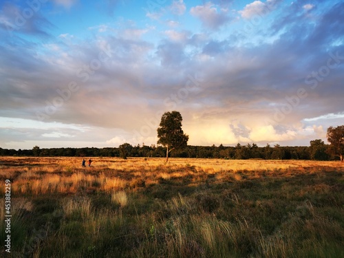 sunset in the heather