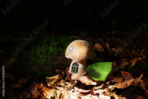 Mushroom house in bright rays among the dark forest