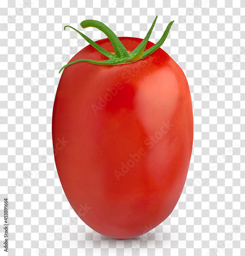 San Marzano, plum or Roma tomato isolated on isolated background including clipping path. 