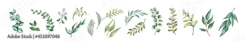 Vector set botanical elements - wildflowers  herbs and wild foliage