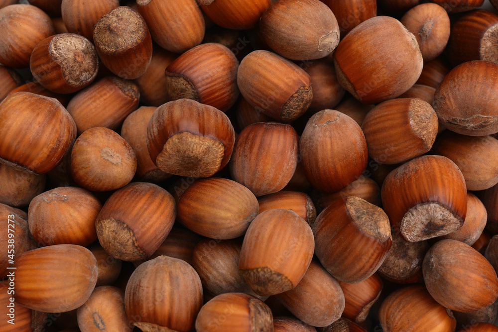 Hazelnuts. Food background, photo wallpaper.Heap or stack of hazelnuts. Hazelnut background, healty food. Food Frame Background, macro detailed close up. Hazelnuts. Food background, photo wallpaper.Heap or stack of hazelnuts. Hazelnut background, healty food. Food Frame Background, macro detailed close up.