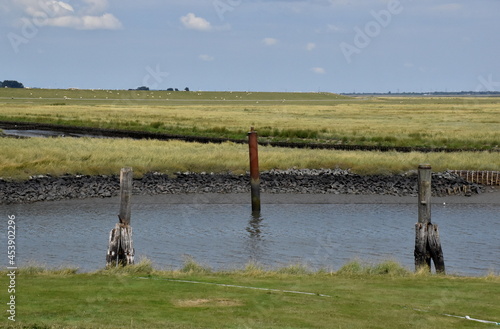 Naturpark Beltringharder Koog bei Husum photo