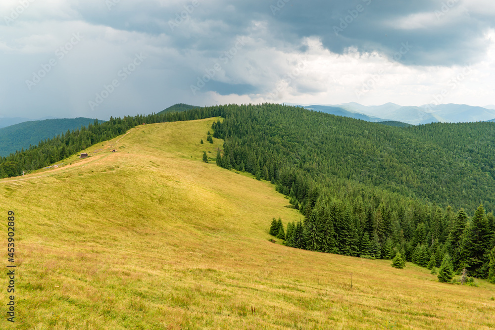 On the Yavirnyk meadow in the Carpathians