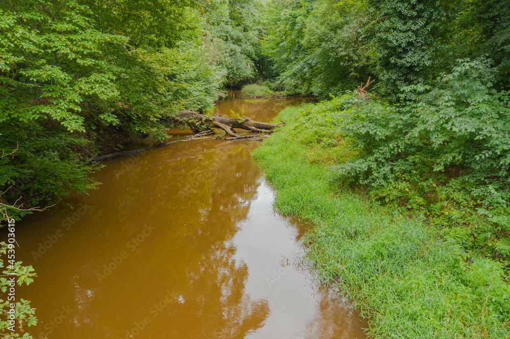 Mała, nieuregulowana, dzika rzeka płynąca pośród gęstych zarośli. Po intensywnych opadach deszczu woda ma brązowy kolor. - obrazy, fototapety, plakaty 