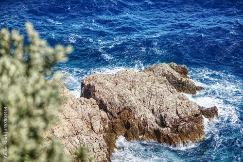 scenic view of the adriatic sea with plant in the foreground