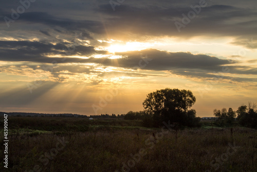 A beautiful landscape - a dramatic sky with sun rays through the clouds above the horizon and the silhouette of a tree on a meadow in the early summer morning