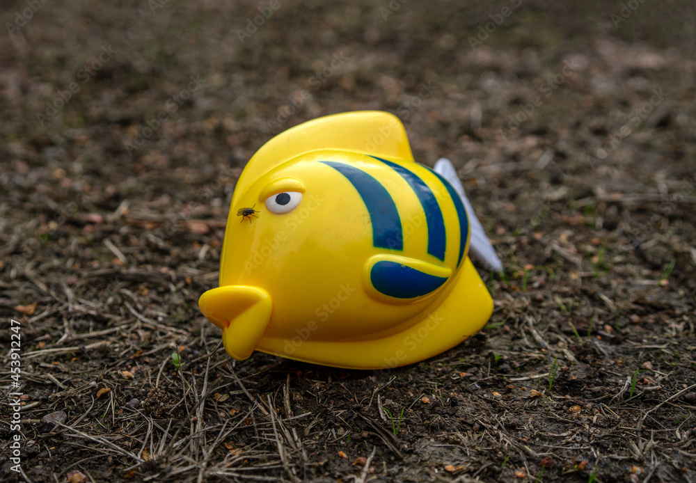 A plastic yellow fish is lying on the ground, a black fly is sitting on