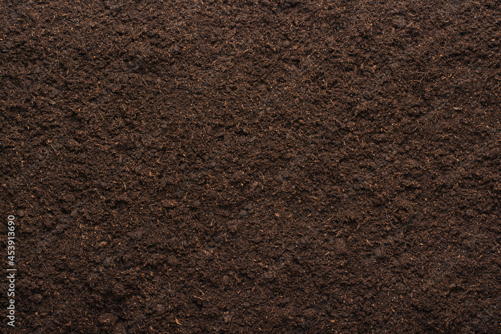 Peat moss soil background texture - obrazy, fototapety, plakaty 