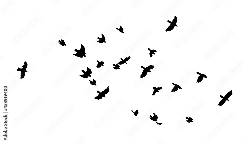 A flock of flying birds. A large flock of flying crows. Vector illustration A flock of flying birds. A large flock of flying crows. Vector illustration