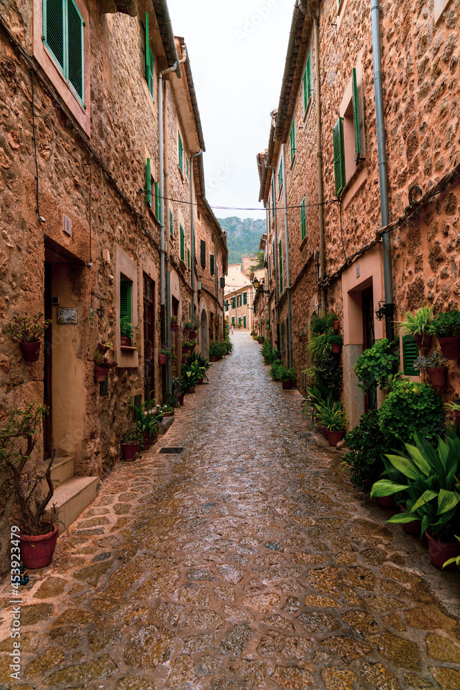 narrow street with plants in old mountain town