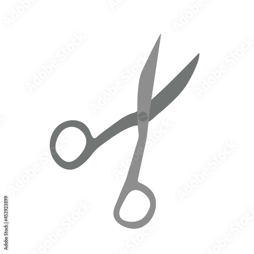 isolated element stainless steel tailor scissors