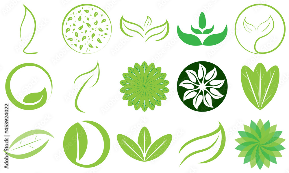 Obraz Projekt logo liścia wektorowego premium