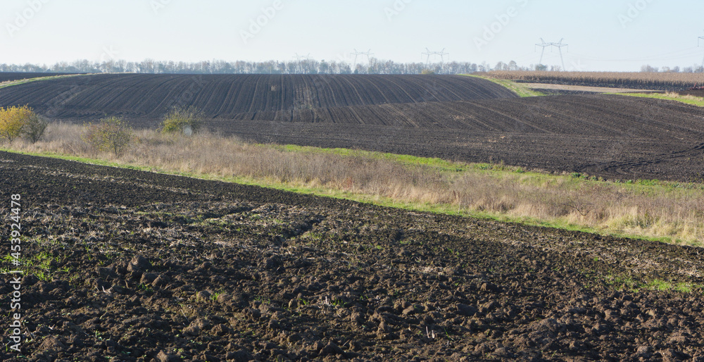 Landscape with a plowed field Landscape with a plowed field