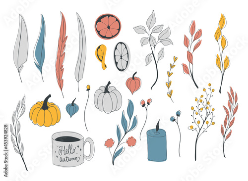 Vector autumn set with elements of feathers, pumpkins, branches with leaves, flowers and berries, orange slices, a cup of tea, physalis. Hello, autumn. Collections of elements for decoration, design