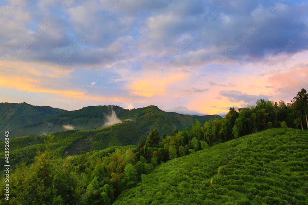 Beautiful landscape of dawn with mountains and green trees under blue sky
