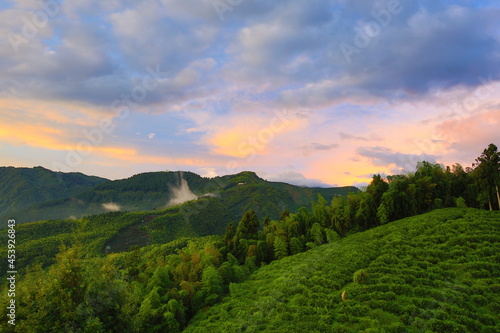 Beautiful landscape of dawn with mountains and green trees under blue sky 