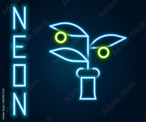 Glowing neon line Plant breeding icon isolated on black background. Plants growing in the test tubes. Organic food ,agriculture and hydroponic. Colorful outline concept. Vector