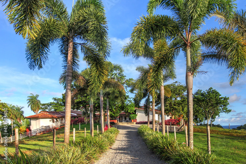 Tropical estate, Isla Boca Brava, Panama photo